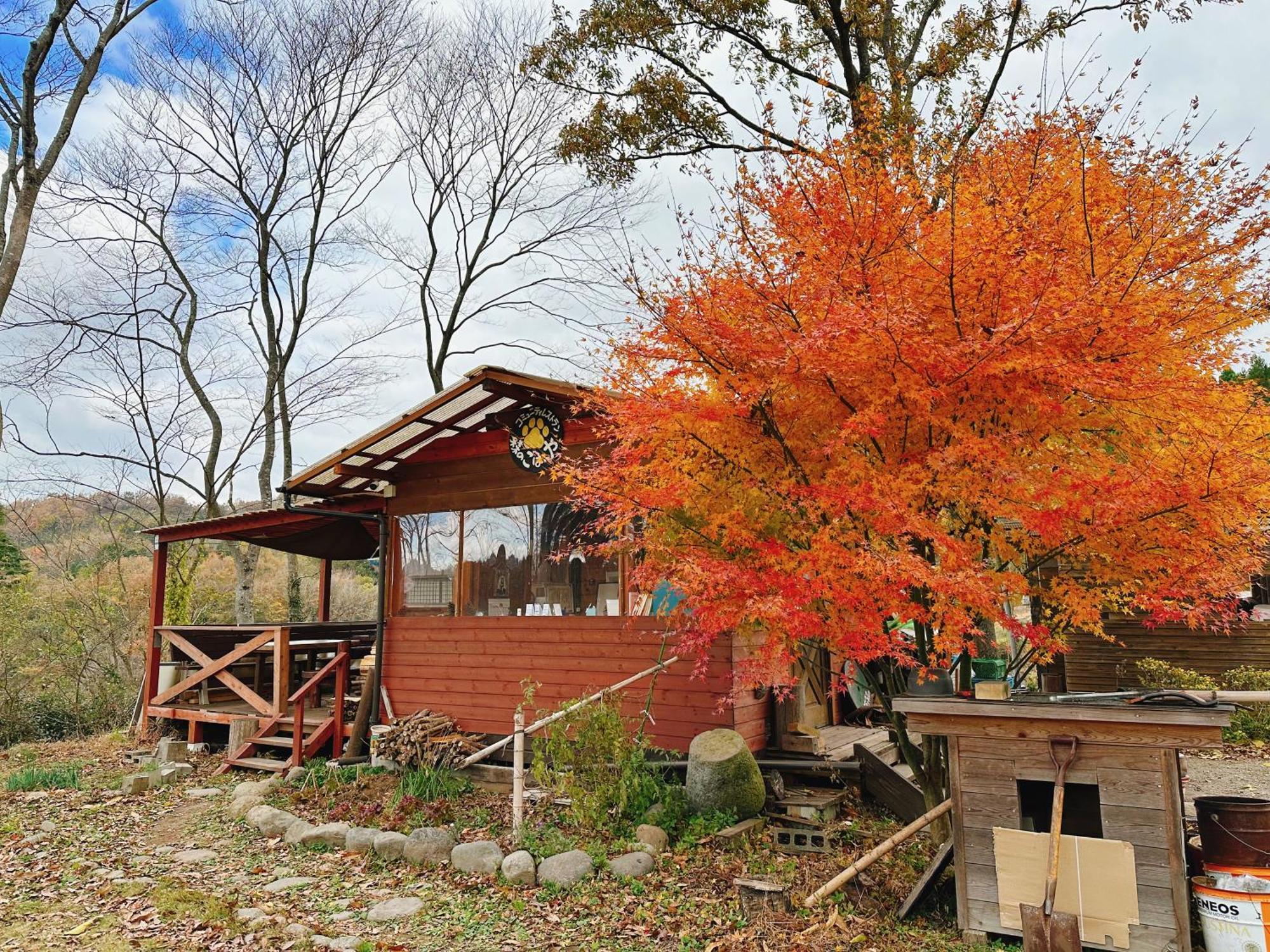 Guesthouse Kurihai Oita Exterior photo